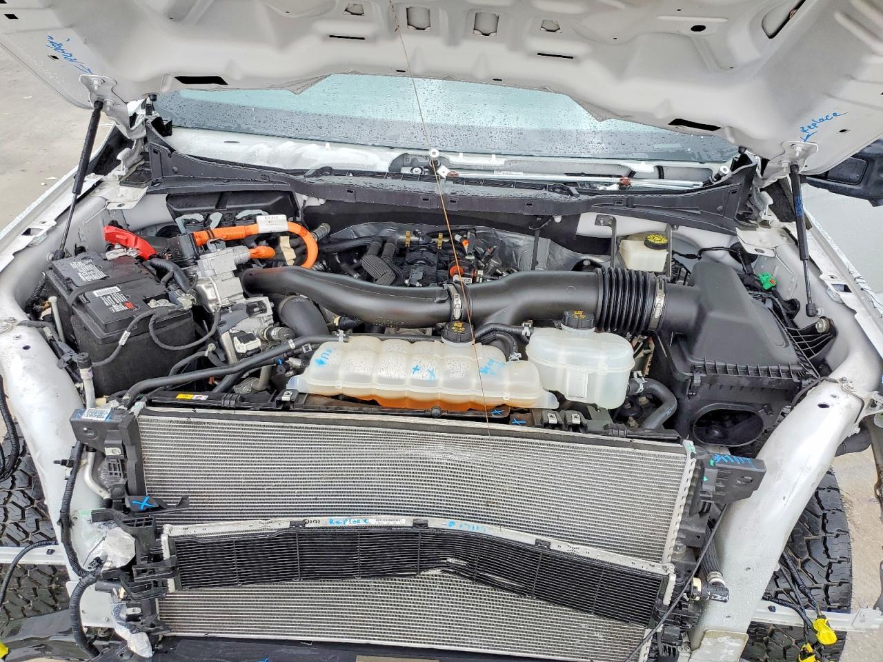 2024 Ford F150 XLT