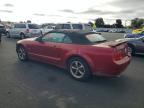 2006 Ford Mustang gt