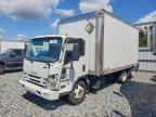 2019 Isuzu NQR BOX Truck
