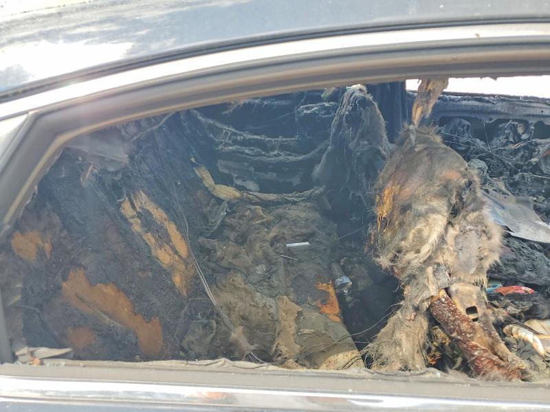 2015 Hyundai Sonata eco