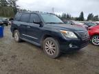 2010 Lexus Lx 570 Base