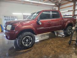 Toyota salvage cars for sale: 2005 Toyota Tundra SR5
