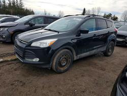 Ford salvage cars for sale: 2016 Ford Escape se
