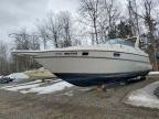 1996 Maxum Boat