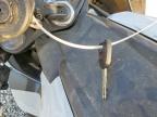 2025 Honda CBR1000 RR