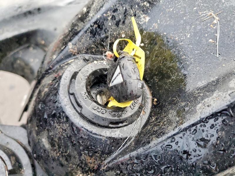 2025 Kawasaki EX650 P