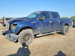 Salvage trucks for sale at Mercedes, TX auction: 2013 Ford F150 Supercrew