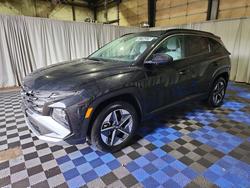 2025 Hyundai Tucson sel for sale in Spanaway, WA