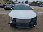 2025 Hyundai Santa Cruz SEL Activity