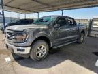 2024 Ford F150 XLT