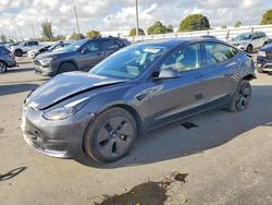 2023 Tesla Model 3 for sale in Miami, FL