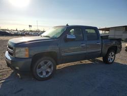 Salvage trucks for sale at Corpus Christi, TX auction: 2010 Chevrolet Silverado C1500 LT