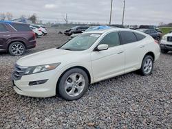 2011 Honda Accord Crosstour exl for sale in Cicero, IN