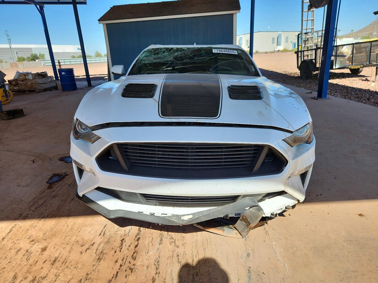 2023 Ford Mustang gt