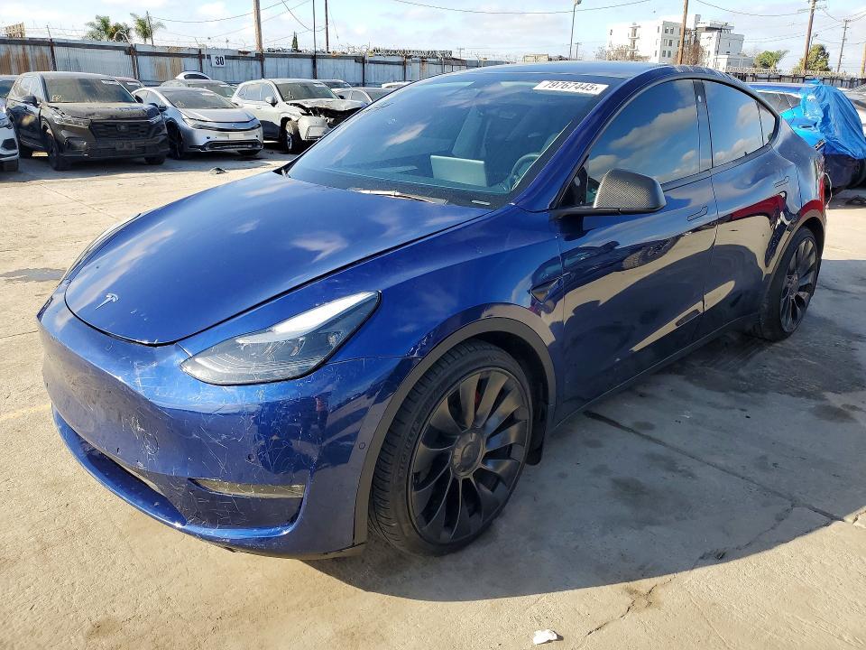 2022 Tesla Model y