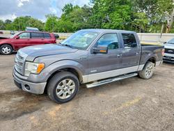 Salvage cars for sale from Copart Eight Mile, AL: 2013 Ford F150 Supercrew
