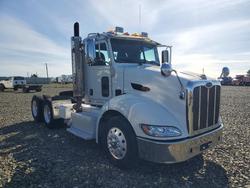 Salvage trucks for sale at American Canyon, CA auction: 2013 Peterbilt 384