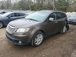 Subaru Tribeca salvage cars for sale: 2010 Subaru Tribeca Premium