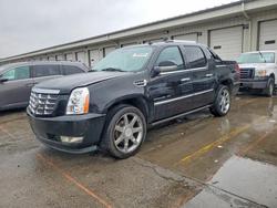Salvage trucks for sale at Louisville, KY auction: 2010 Cadillac Escalade EXT Premium