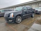 2010 Cadillac Escalade EXT Premium