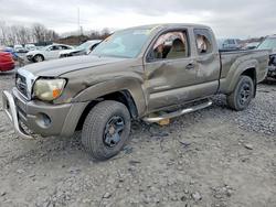 Salvage trucks for sale at Duryea, PA auction: 2011 Toyota Tacoma Base