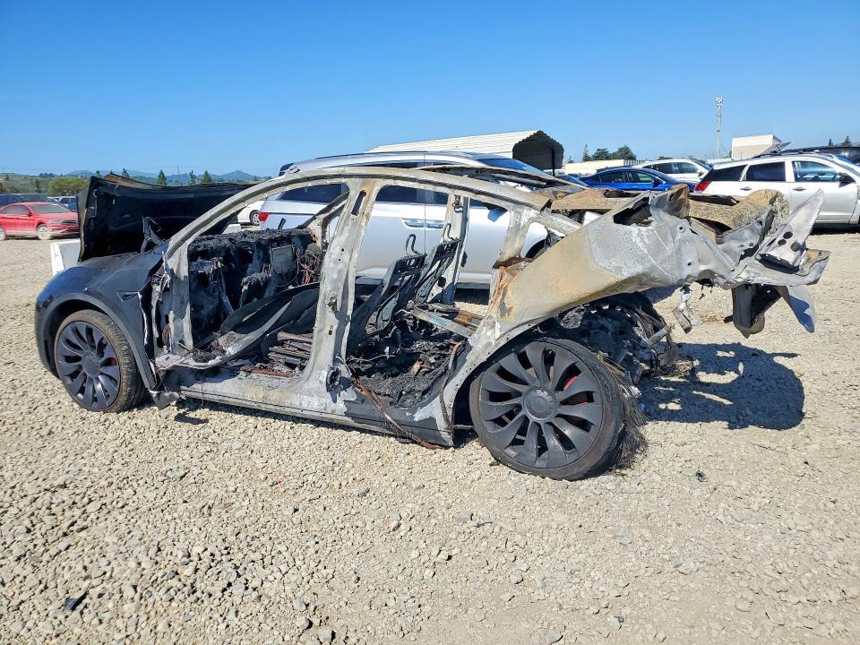 2024 Tesla Model y