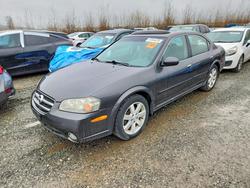 2003 Niss Maxima gxe for sale in Arlington, WA