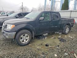 Salvage trucks for sale at Windsor, NJ auction: 2010 Nissan Frontier SE V6