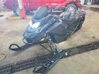 2024 Skidoo Backcountry Adrenal