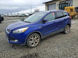 Ford salvage cars for sale: 2014 Ford Escape Titanium