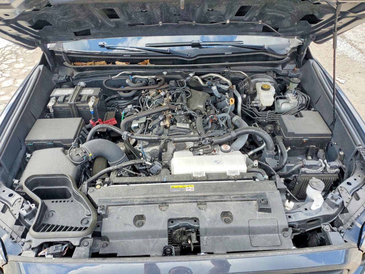 2024 Toyota Tacoma TRD Sport