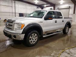 2014 Ford F150 Supercrew for sale in Avon, MN