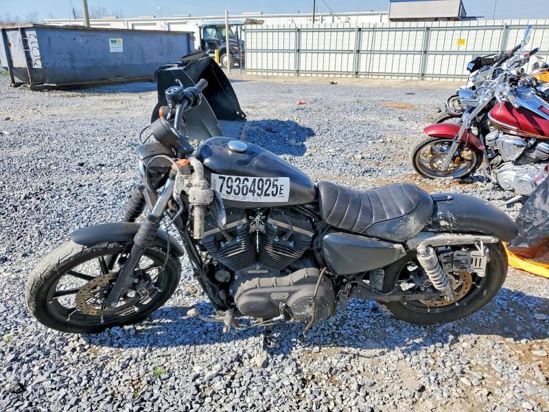2019 Harley-Davidson XL883 N