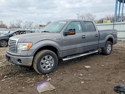 Salvage trucks for sale at Chicago Heights, IL auction: 2012 Ford F150 Supercrew