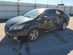 2010 Lexus Hs 250h Base