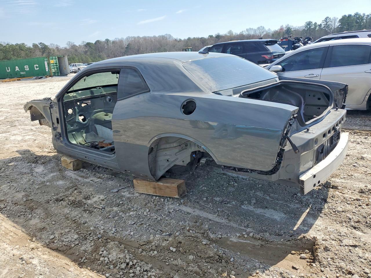 2019 Dodge Challenger r