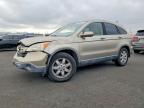2007 Honda Cr-v exl