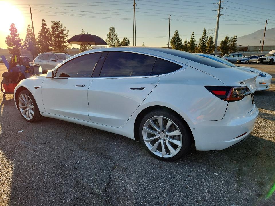 2019 Tesla 3