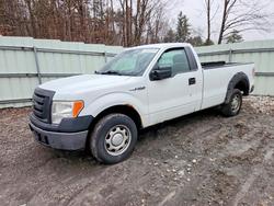 Salvage cars for sale from Copart -no: 2010 Ford F150