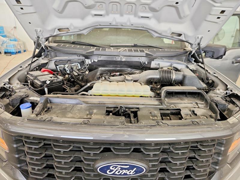 2025 Ford F150 STX