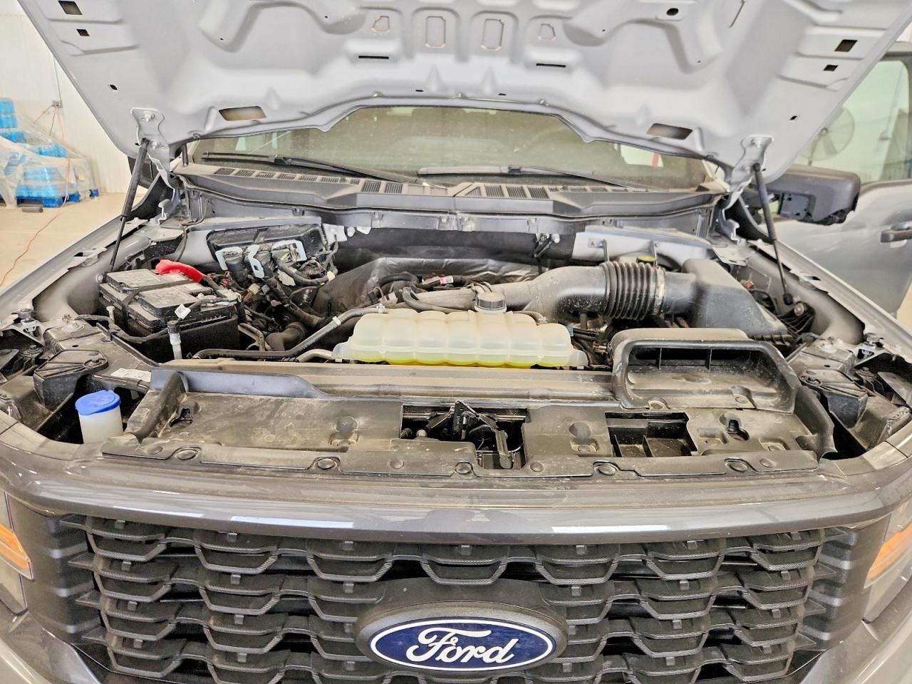 2025 Ford F150 STX