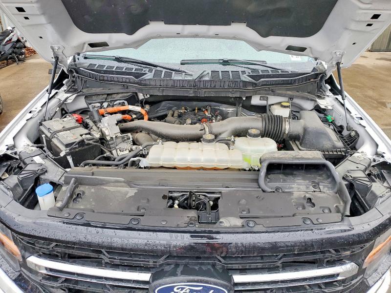2024 Ford F150 XLT
