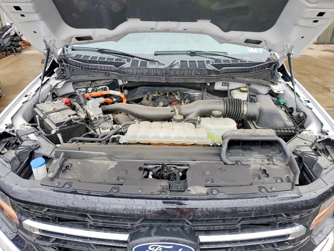 2024 Ford F150 XLT