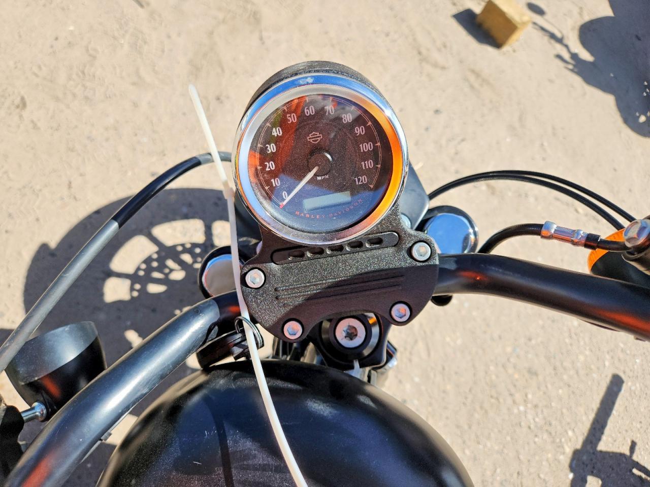 2022 Harley-Davidson XL883 N