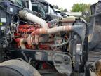 2013 Peterbilt 386-Semi Truck