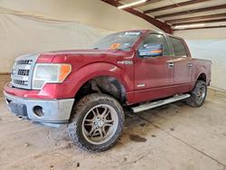 Salvage trucks for sale at Mercedes, TX auction: 2013 Ford F150 Supercrew