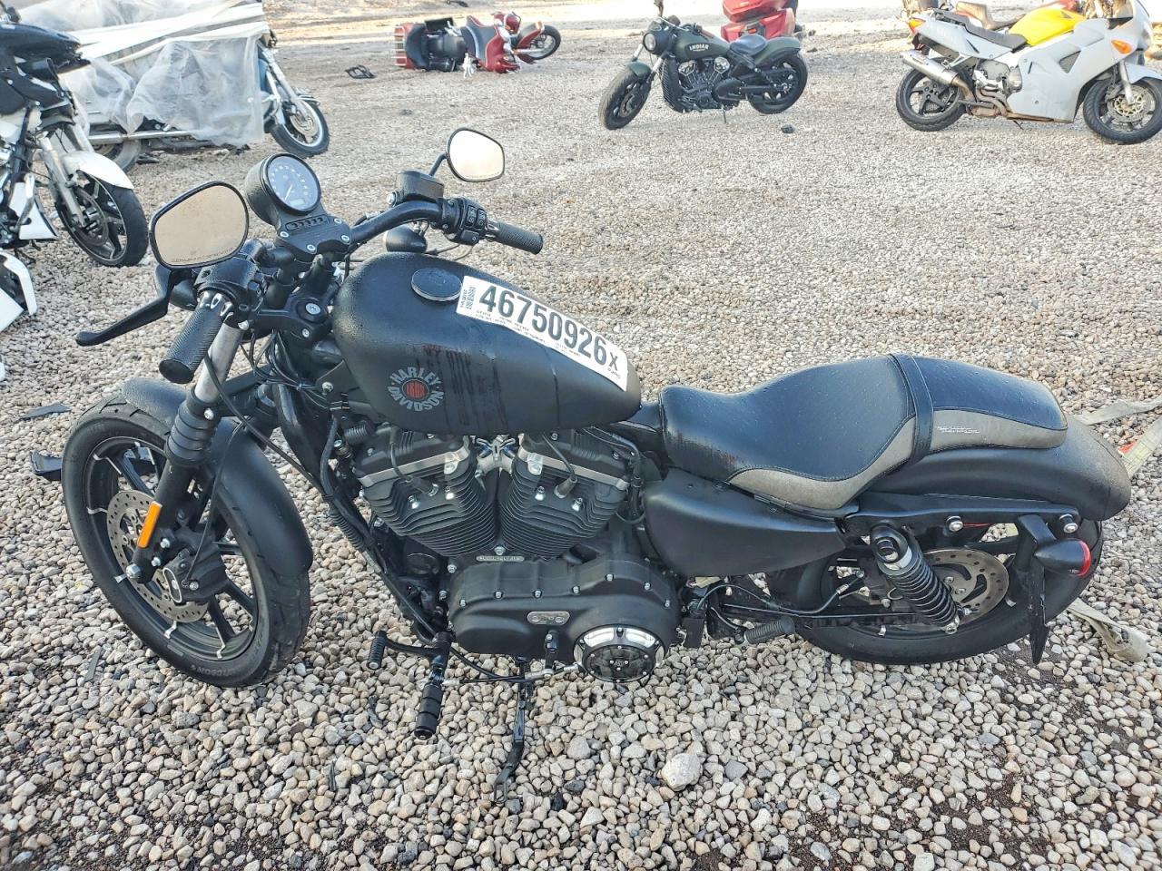 2020 Harley-Davidson XL883 N