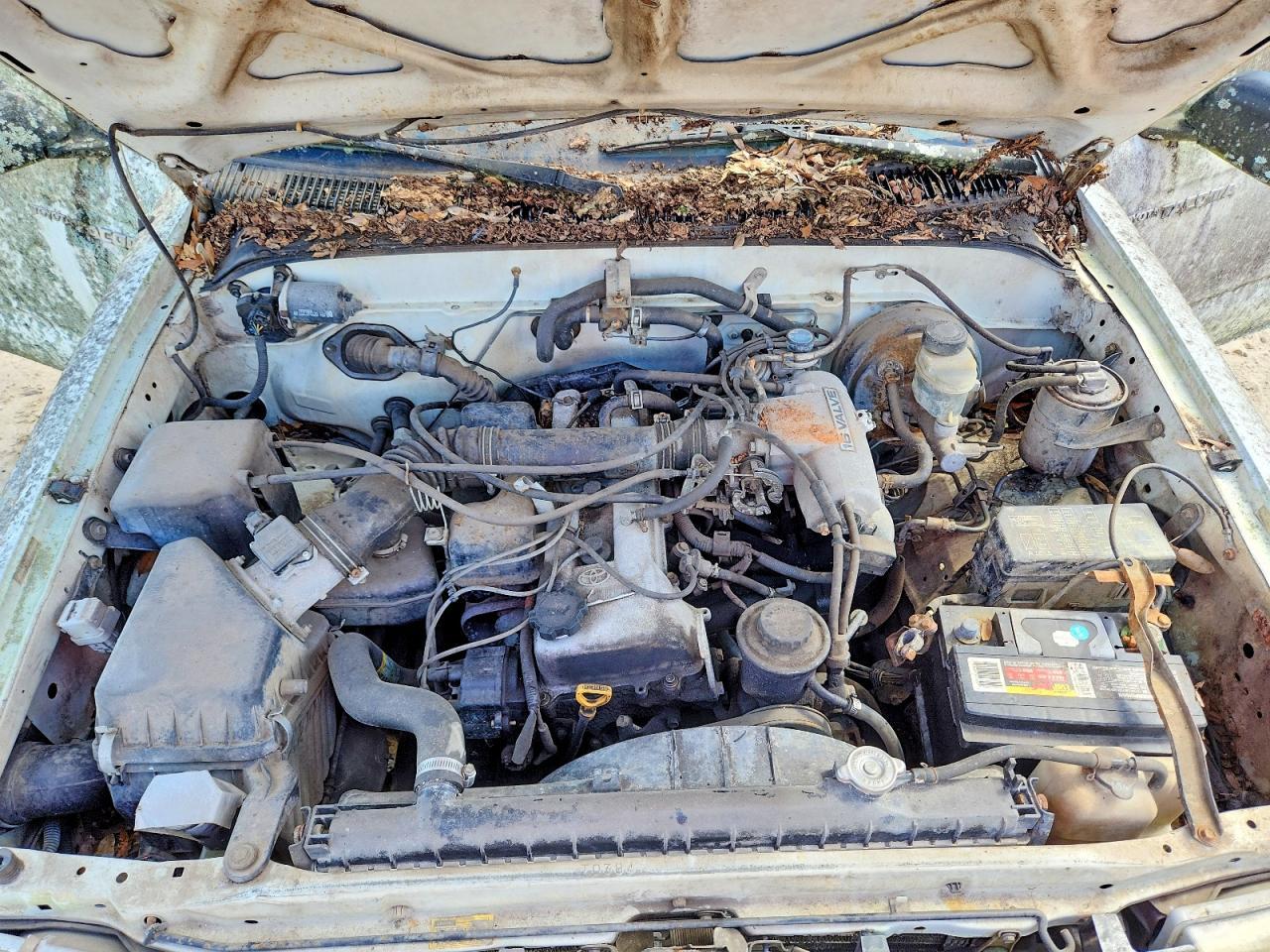 1997 Toyota Tacoma Base