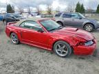 2001 Ford Mustang gt