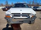 2001 Dodge Dakota Quattro